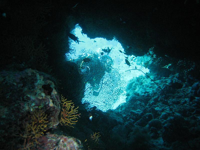 2009-12-04 11-15-57S.JPG